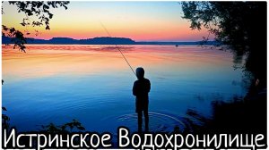#145 🚗 СПИМ в машине 🌊 Истринское водохранилище 🌲 Ужин Костёр 🔥 #истра #синийтрактор #365 #рыбал