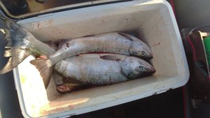 РЫБАЛКА, КЕТА,🐟🔥 ПРИРОДА 30.09.25. НАХОДКА