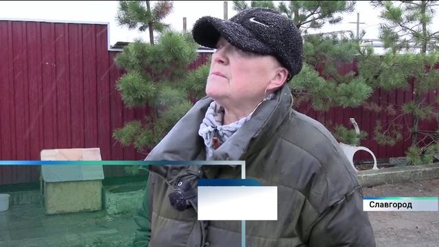 Школьники и студенты Славгорода передали корм приюту для животных