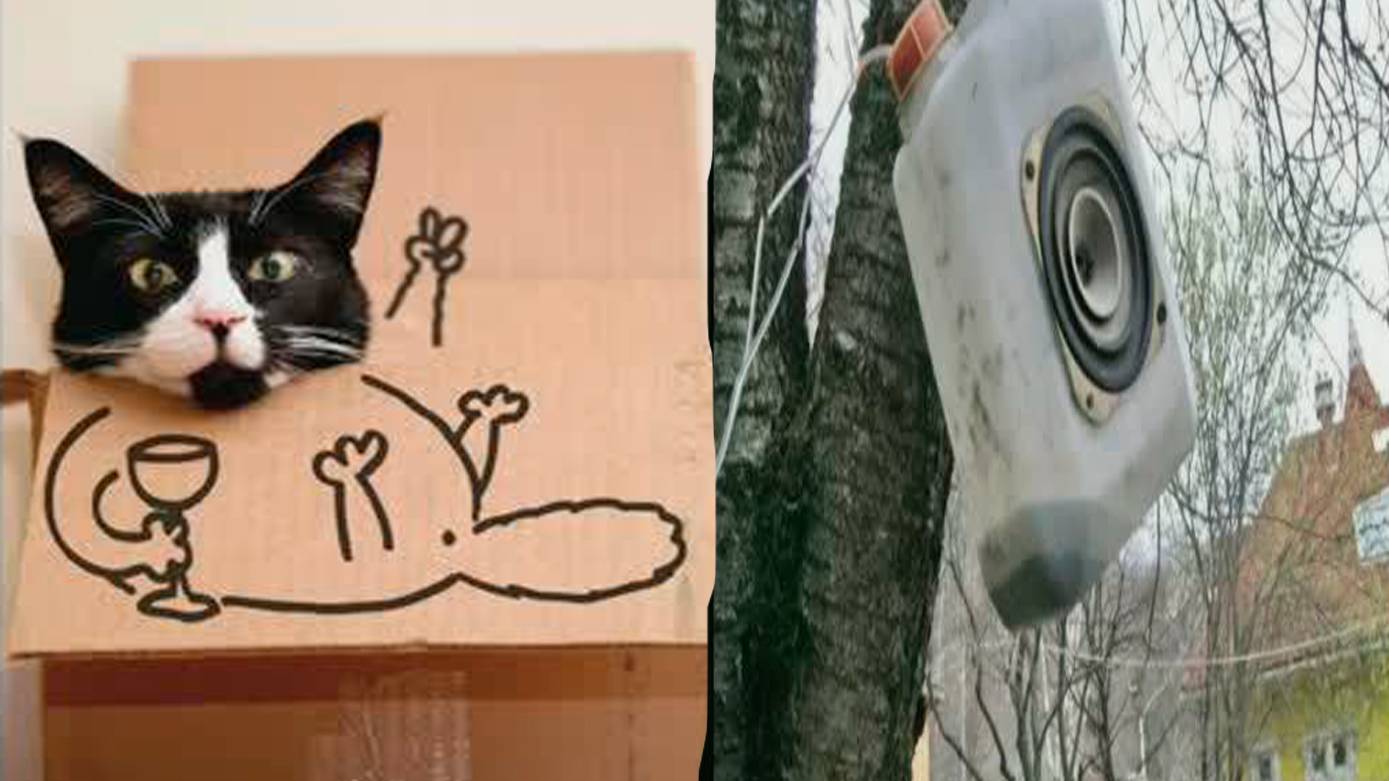 Сборник весёлых, смешных и интересных фото с интернета (14 часть) смотреть онлайн