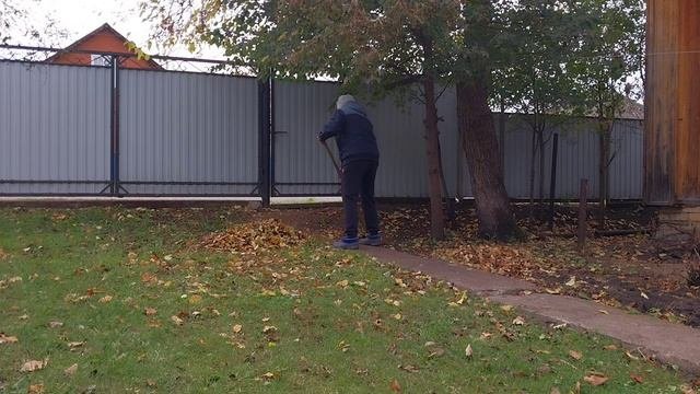 ИЗ ГОРОДА В ДЕРЕВНЮ. Хроника дня.