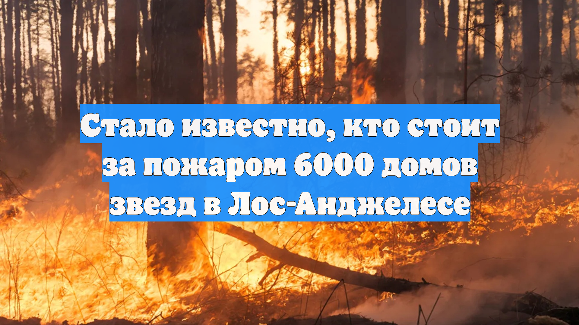 Стало известно, кто стоит за пожаром 6000 домов звезд в Лос-Анджелесе