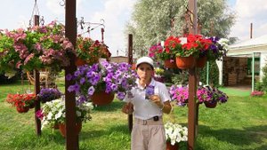 Петуния гибридная Ивнинг Сенсейшен