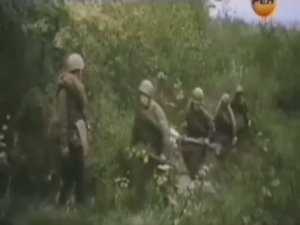 Так на роду нам написано, братцы!