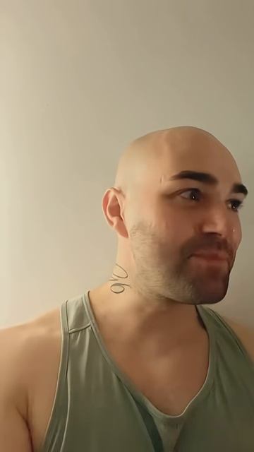 Летние жуки