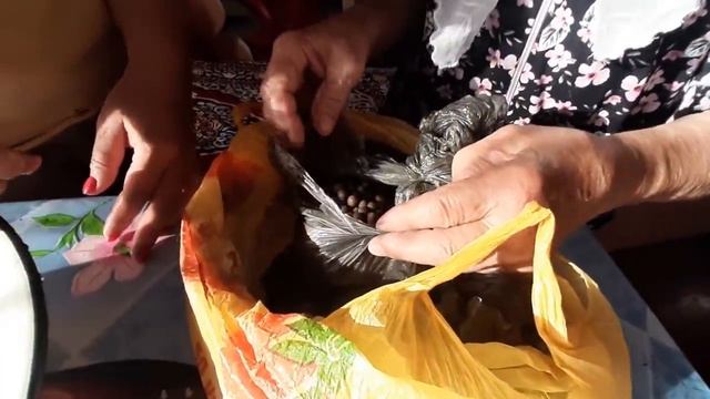 МАЛОСОЛЬНЫЕ ОГУРЧИКИ ОТ БАБУШКИ НАСТИ!!!