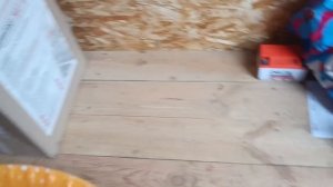 СОЛЯНКА из КАПУСТЫ! Щенки ищут хозяев!