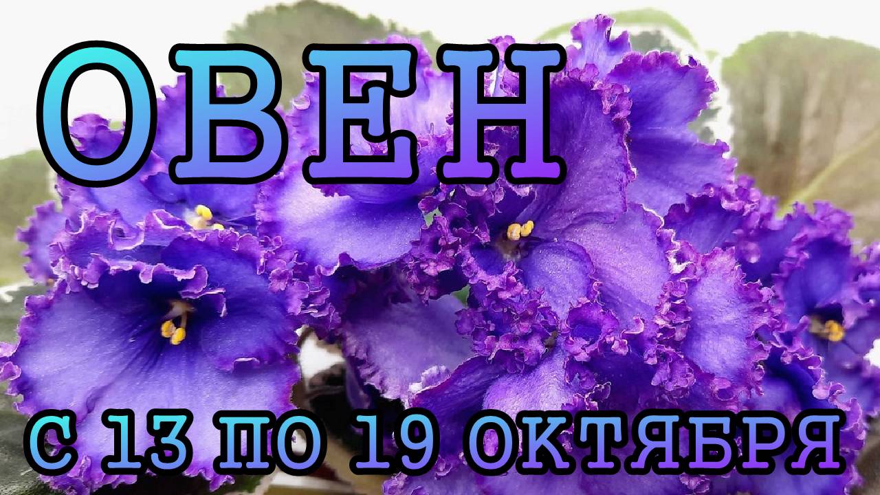 ОВЕН таро прогноз на неделю с 13 по 19 ОКТЯБРЯ 2025 года.