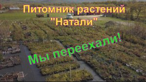 Питомник растений "Натали". Как мы переезжали.