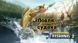 Professional Fishing 2 За судаком!