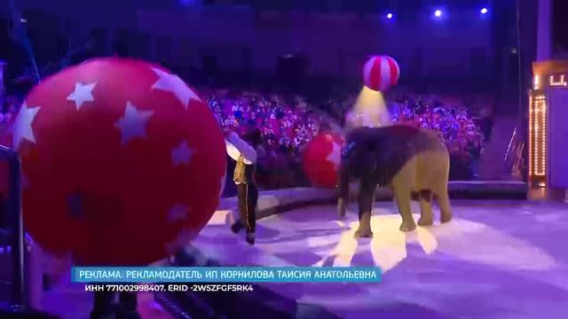 В Саратове состоялась премьера уникального театрально-циркового спектакля 