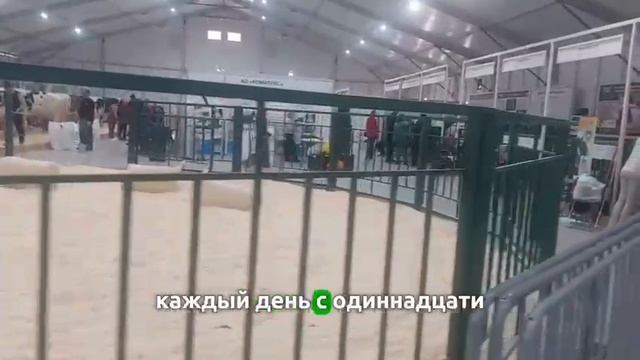 Выставка 