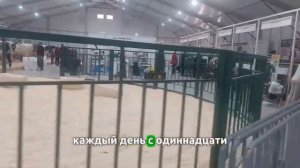 Выставка "Золотая осень" 2025 в Москве