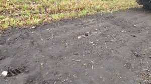 Ropa, проблемы в дождь 🌧️