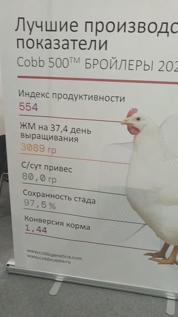 Российская агропромышленная выставка «Золотая осень». Сенсация павильона «Животноводство» (5)