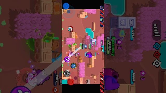 SVID_20251009_163007_1.mp4