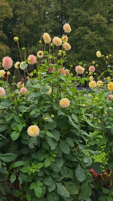 Прекрасный замок в провинции Утрехт с романтическим садом, недалеко от Амстердама