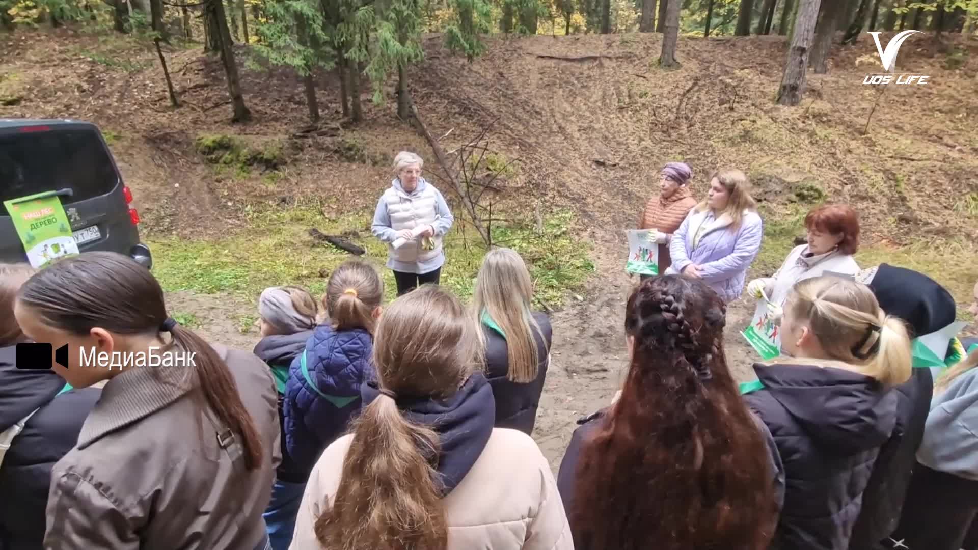 В Воскресенске высадили редкое растение радиолу розовую