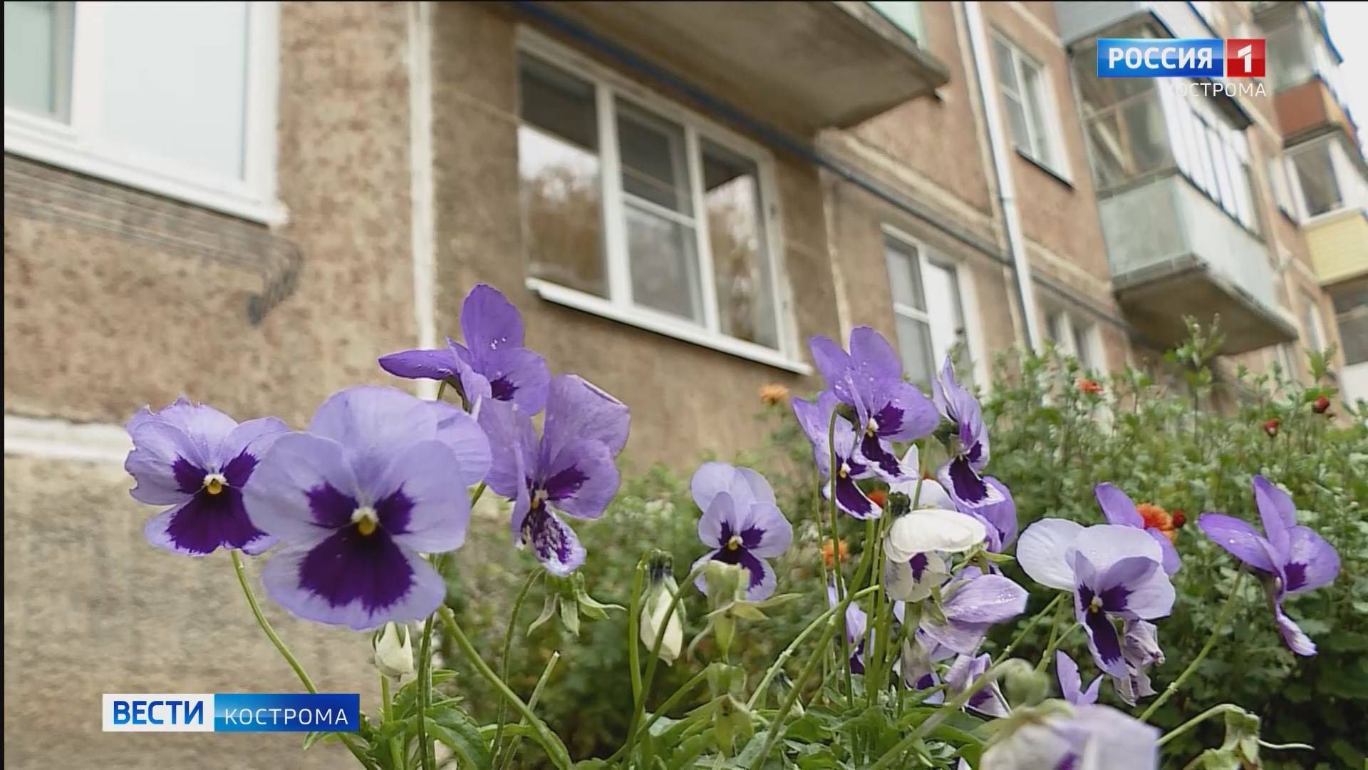 В мэрии подвели итоги конкурса Костромские дворики
