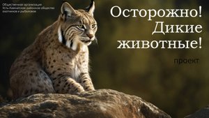 Проект "Осторожно! Дикие животные!"
