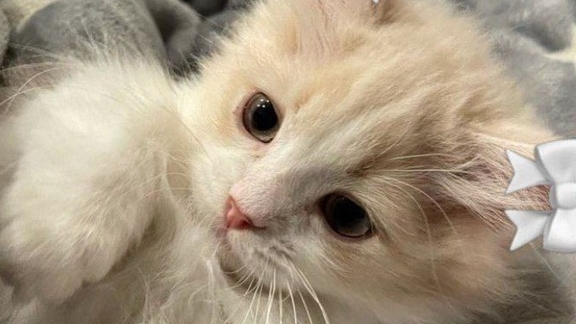 08-10-2025 смотреть онлайн