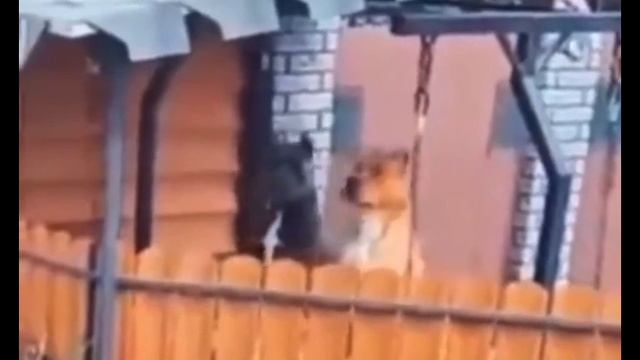 1000014682.mp4