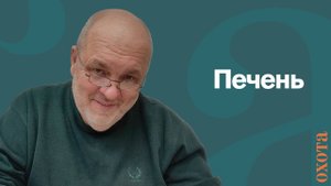 Печень. Валерий Кузенков о печени лося во время гона