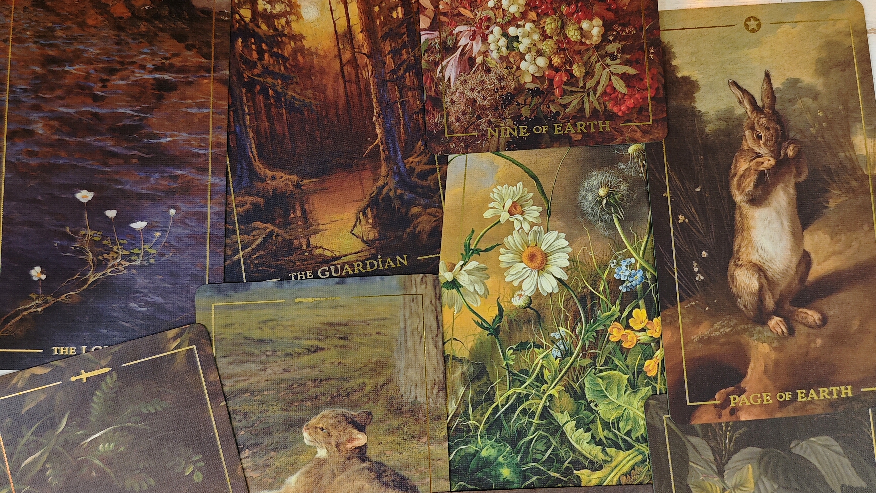 Потрясающее произведение искусства - Folkloric Forest Tarot!!