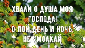 Хвали о душа моя - минус мой 4