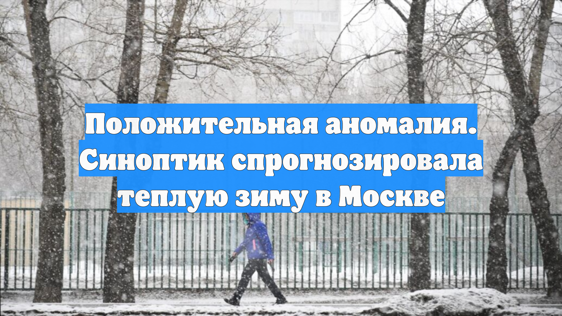 Положительная аномалия. Синоптик спрогнозировала теплую зиму в Москве
