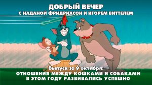 Отношения между кошками и собаками в этом году развивались успешно | 09.10.2025