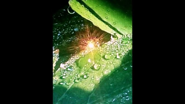 Библия и жизнь. Моя аудиокнига. Часть 2