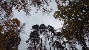 Волхонка Ногинск