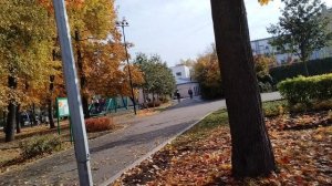 Золотая осень.Москва, Новослободский парк.2025 год, 9 октября.