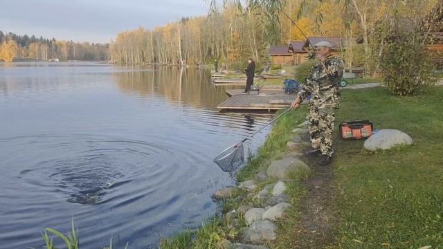 VID_20251009_155343