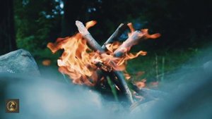 Музыка & Релакс.| Потрескивание горящих дров.| Щебет птиц.| Теплая атмосфера музыки.