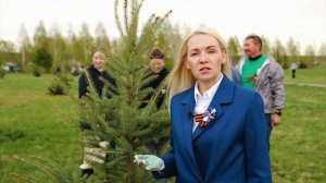 От листа к листу