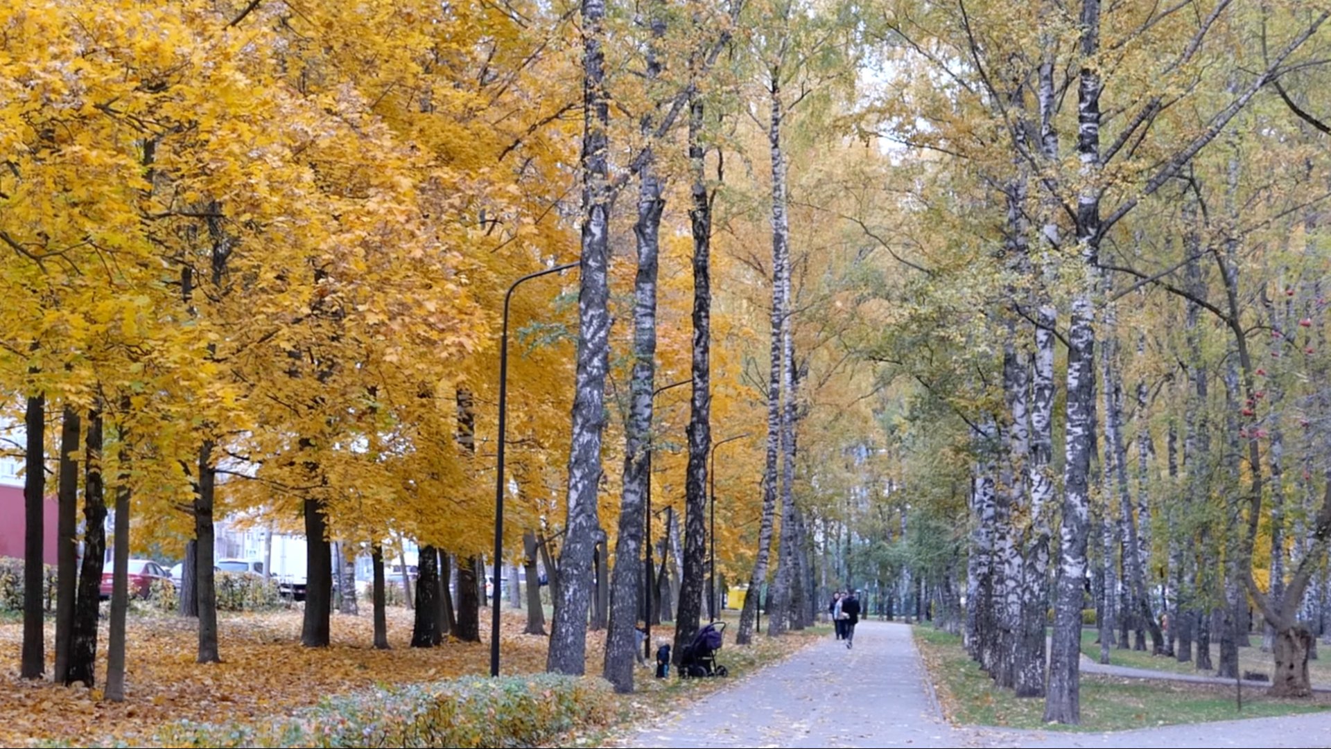 Парк Пушкина. Золотая осень. Нижний Новгород. Октябрь 2025.