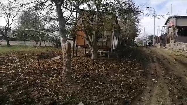 WhatsApp Video 2025-10-09 At 15.34.10