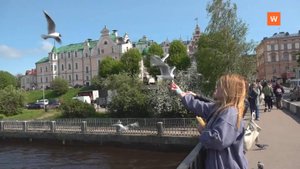 Программа «Город. Новости по-выборгски» от 9 октября 2025 года