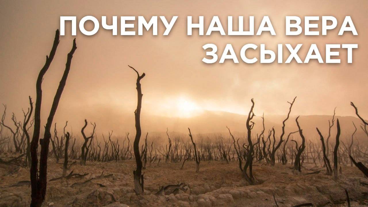 Почему наша вера исчезает, становится слабой. притча о сеятеле, о плевелах