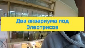 ДВА АКВАРИУМА ПОД ЭЛЕОТРИСОВ