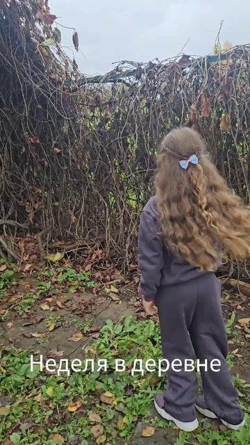 жизнь на даче