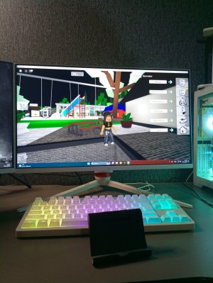 играем в роблоокс