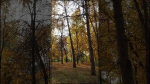 Золотая осень в парке.