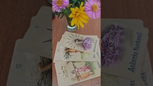 ✅ Об этом он не готов говорить с тобой #гадание #встреча #отношения #сегодня