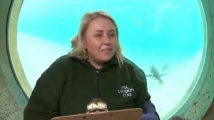 London Zoo - Level A2 (Unit 2) Empower 2d edition