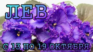 ЛЕВ таро прогноз на неделю с 13 по 19 ОКТЯБРЯ 2025 года.