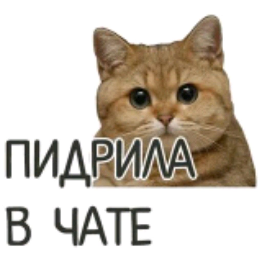 разговоры