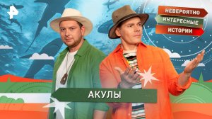 Акулы — Невероятно интересные истории (09.10.2025)